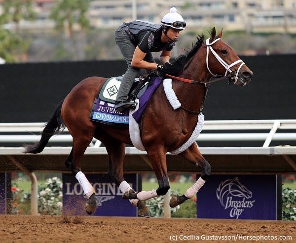 Options abound for horseplayers in 14-horse Kentucky Jockey Club