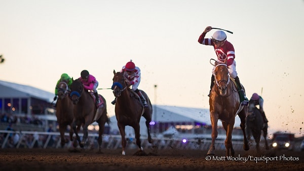 Breeders' Cup follow-up identifies horses to back or fade next time