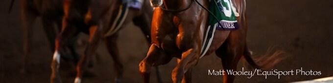 Breeders’ Cup Classic Quotes & Transcript