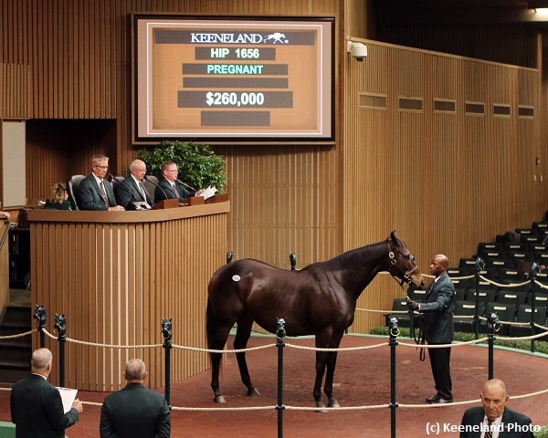 Aqua Regia highlights Day 6 of Keeneland November