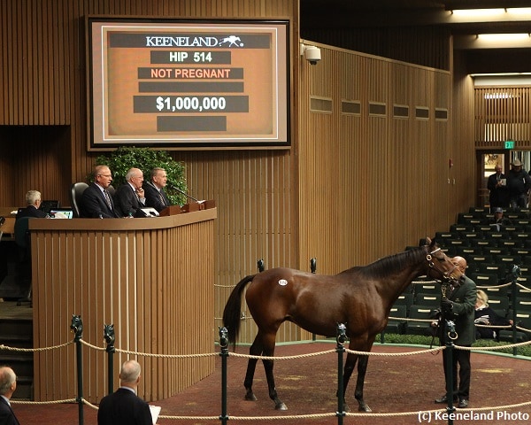 Fools in Love brings $1 million on Day 3 of Keeneland November