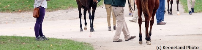 Weanlings highlight ninth session of Keeneland November