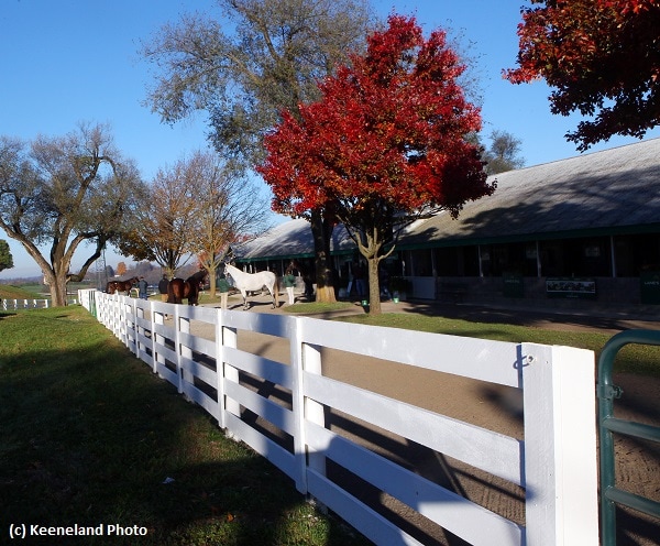 Conveyance weanling paces penultimate Keeneland session