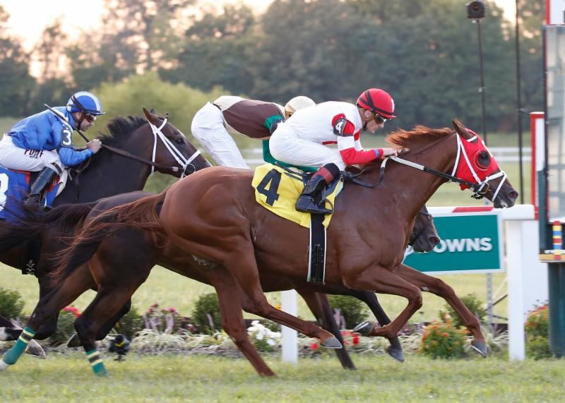 Oscar Nominated to make title defense in 12-horse Kentucky Turf Cup