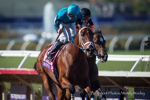 Roy H, American Anthem seek Breeders' Cup entry in Bing Crosby