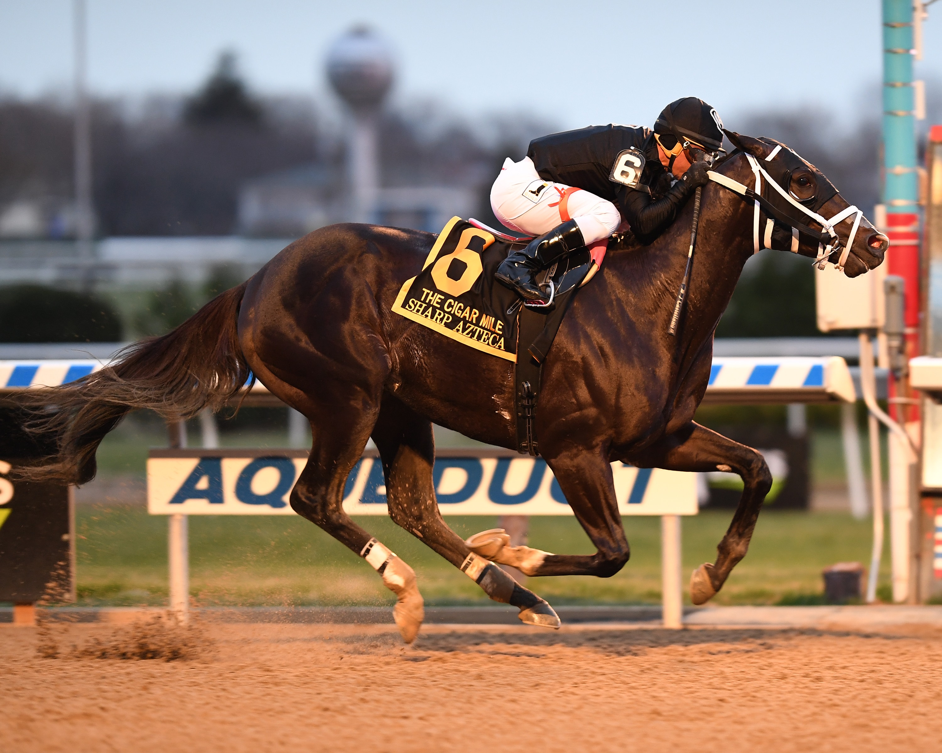 Sharp Azteca lights a victory Cigar for first Grade 1 win