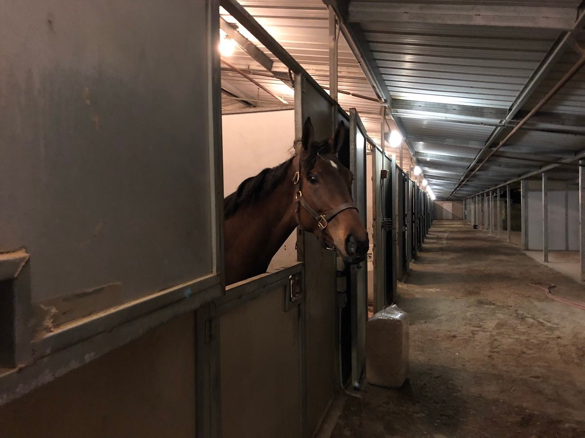 How you can help those affected by Lilac Fire at San Luis Rey Downs
