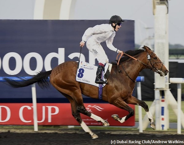 Toast of New York to run in Pegasus World Cup