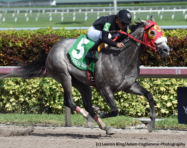 X Y Jet headlines Mr. Prospector field