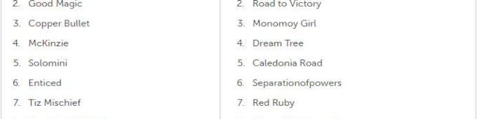 It's Poll Season: Will Kentucky Derby prep trio shake things up this weekend?