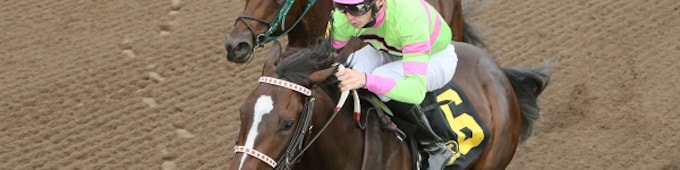 Amy’s Challenge, Mia Mischief headline Dixie Belle