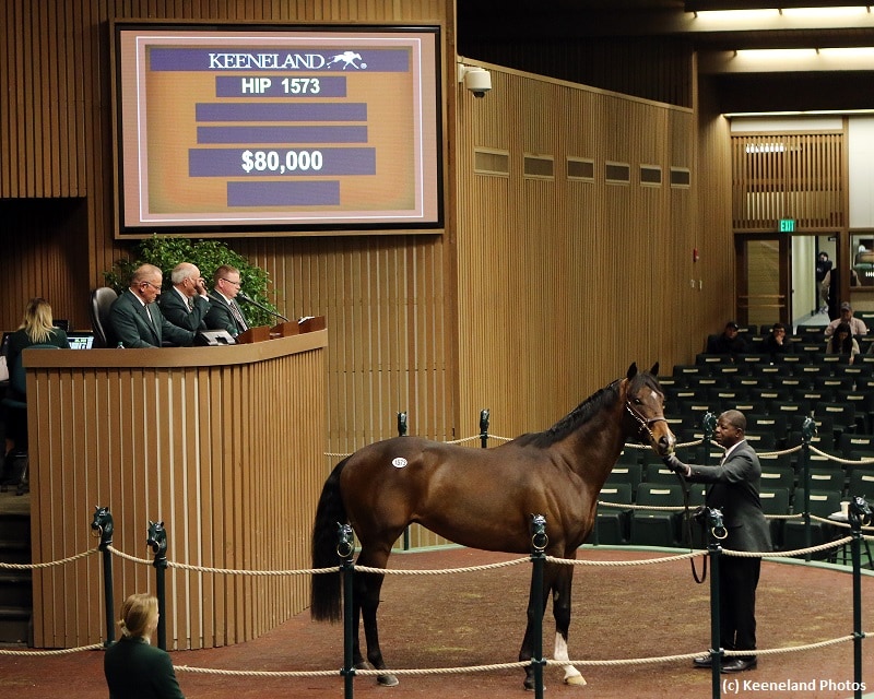 Numbers up as Keeneland January concludes