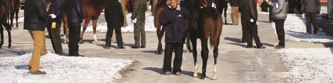 Keeneland January kicks off Monday for four-day stand