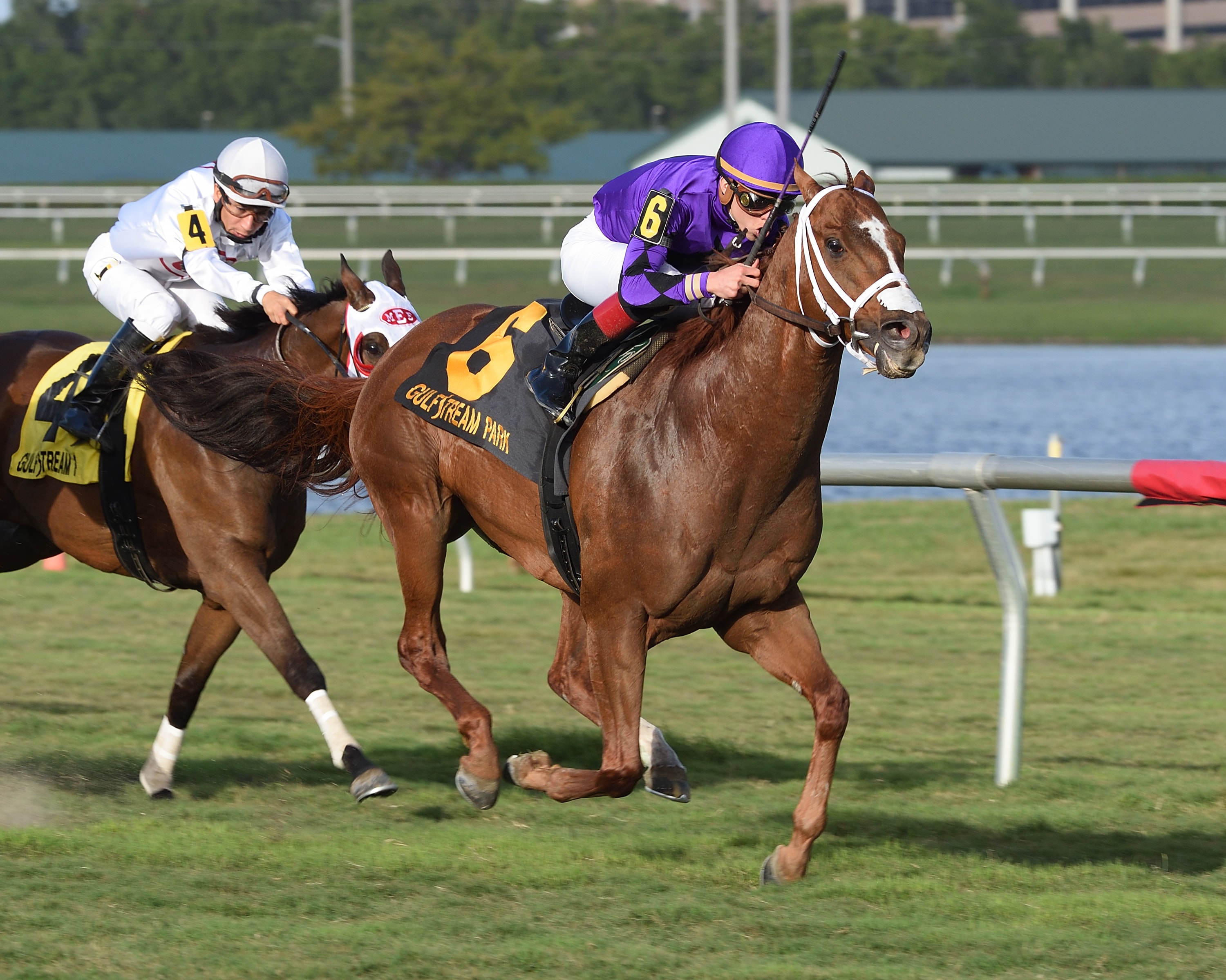 Rainbow Heir takes career finale in Gulfstream Turf Sprint
