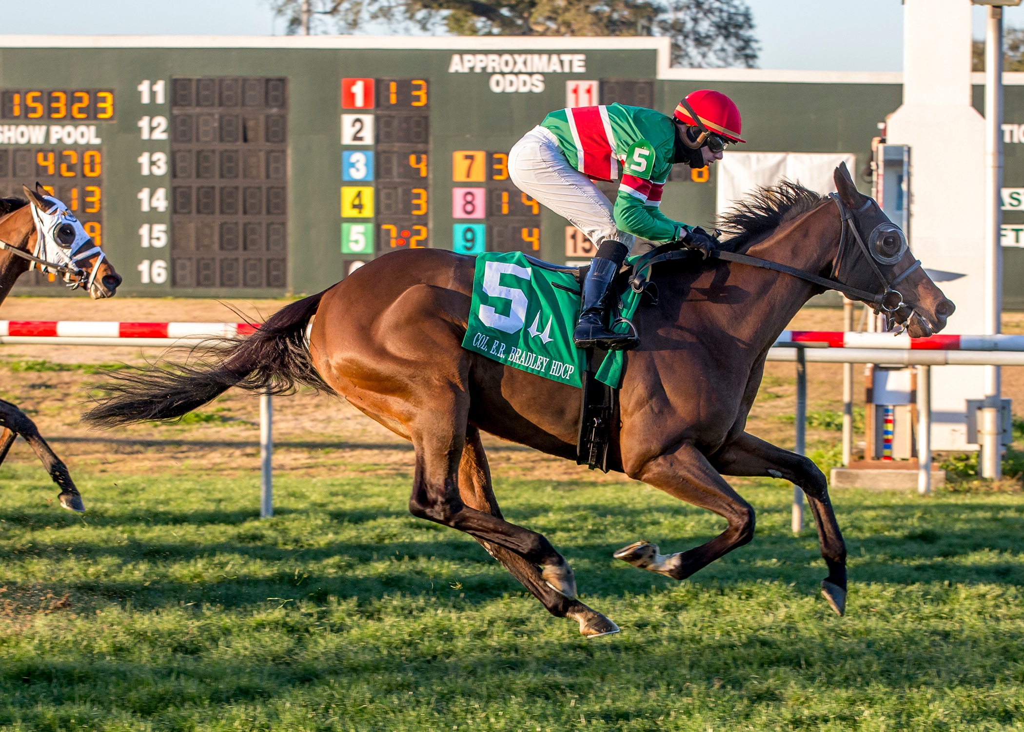 Tower of Texas proves best in Colonel E.R. Bradley