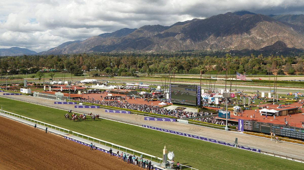 American Oaks brings down Grade 1 curtain for 2025