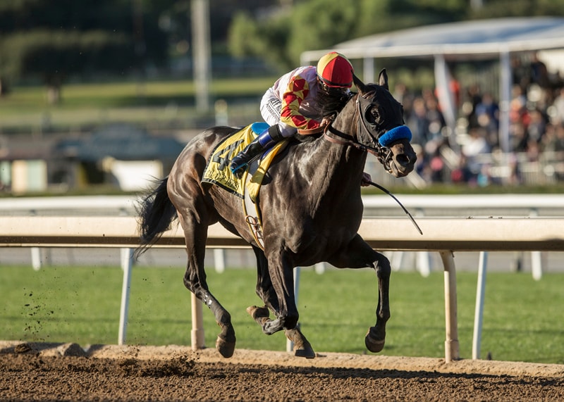 Heck Yeah! Favorite stays unbeaten in California Cup Derby