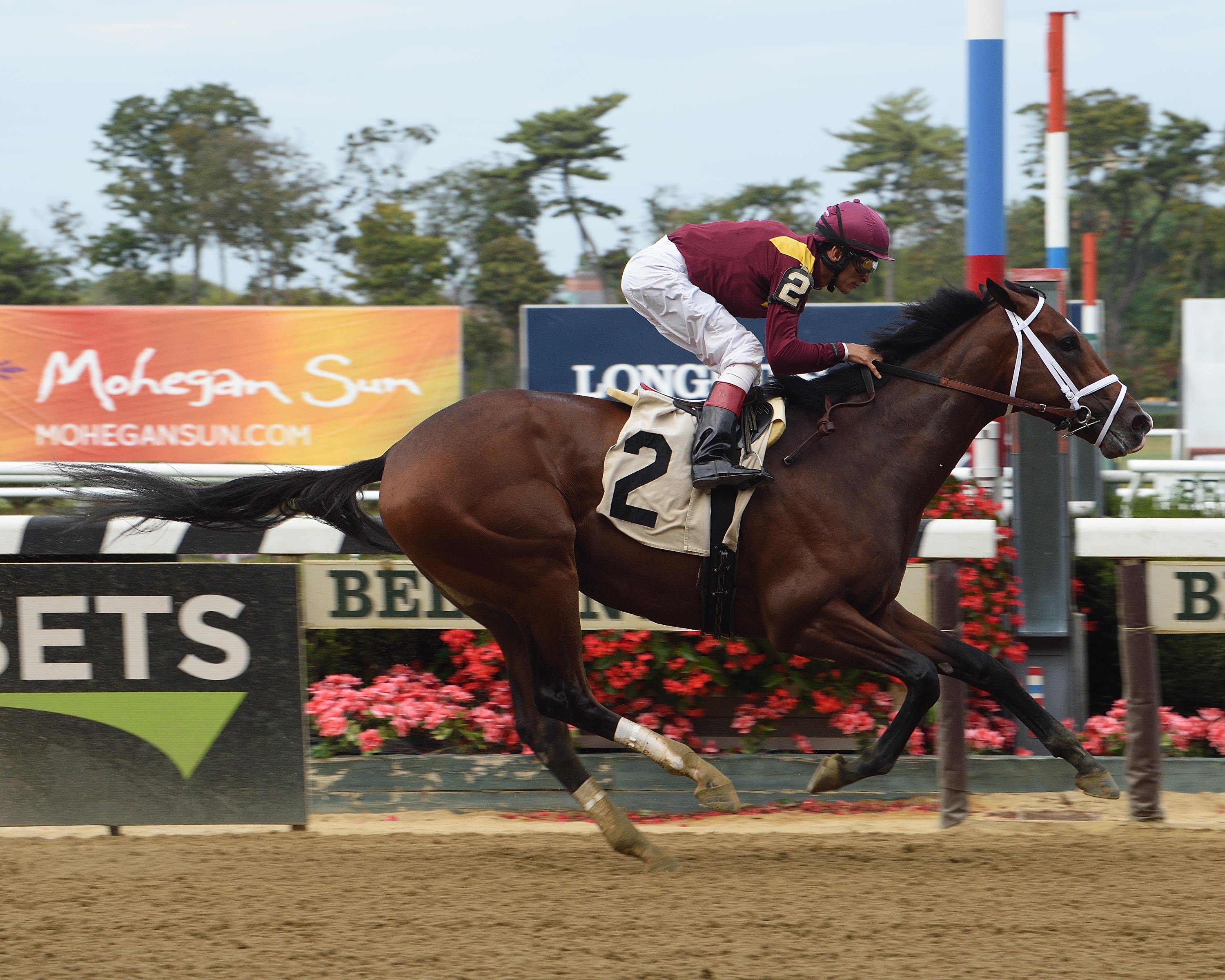 Future wagering on Montauk suspended; colt to miss Kentucky Derby