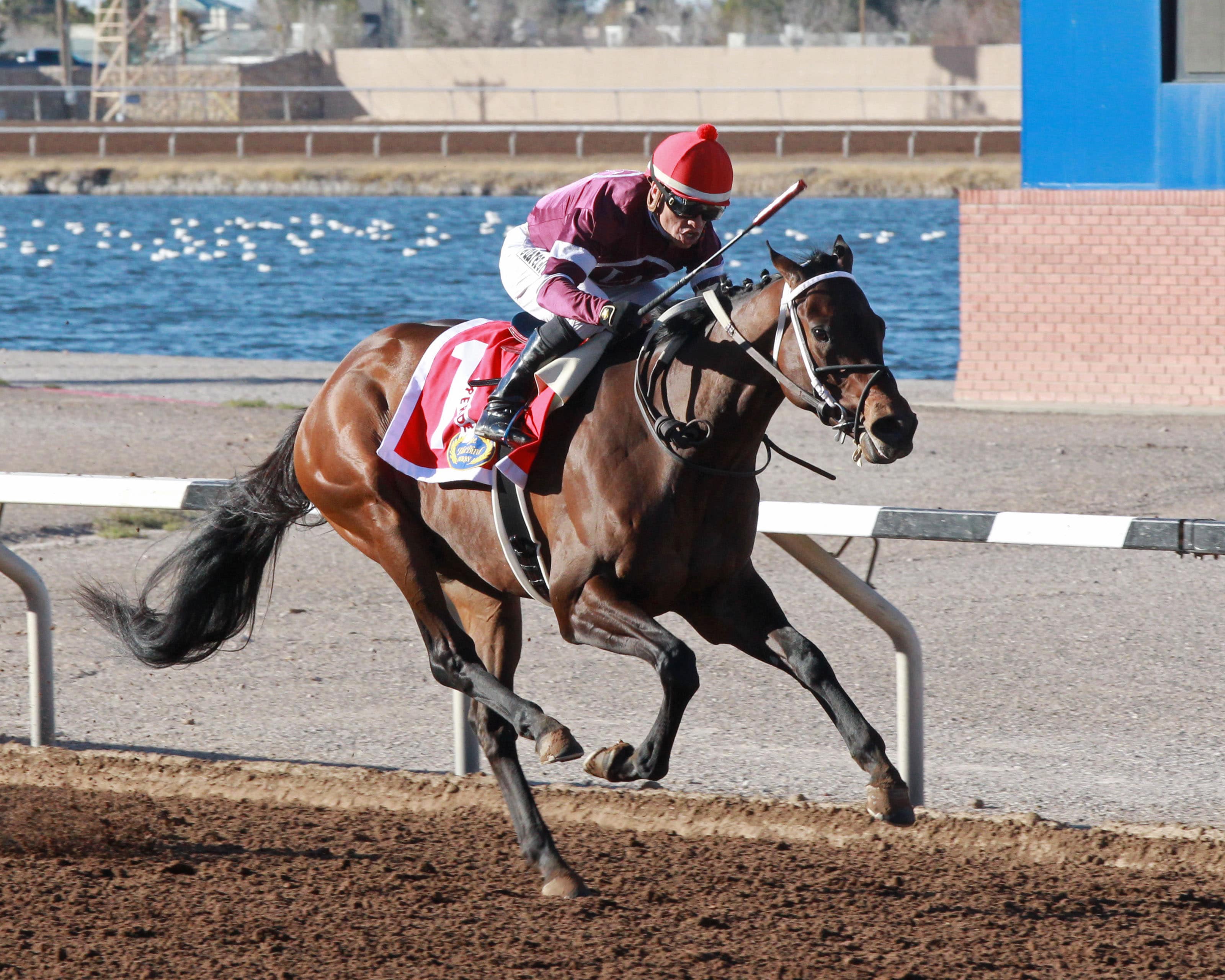 Reride topples Runaway Ghost in Mine That Bird Derby