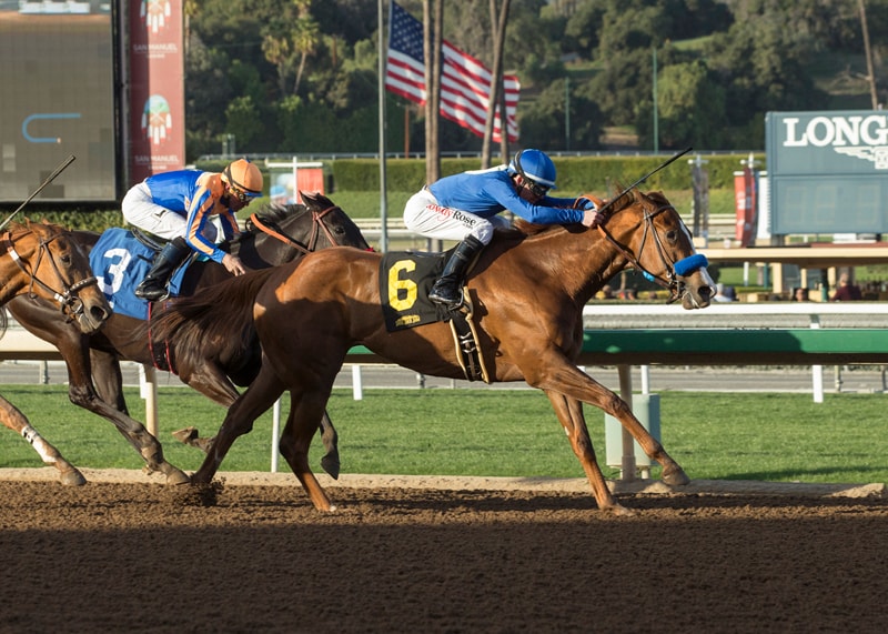 Selcourt prevails in Las Flores war of attrition
