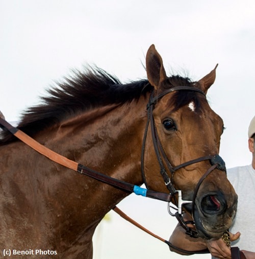 Accelerate captures San Pasqual