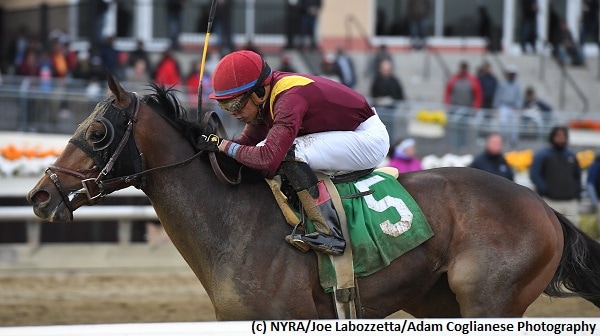Catholic Boy makes sophomore bow in Sam F. Davis