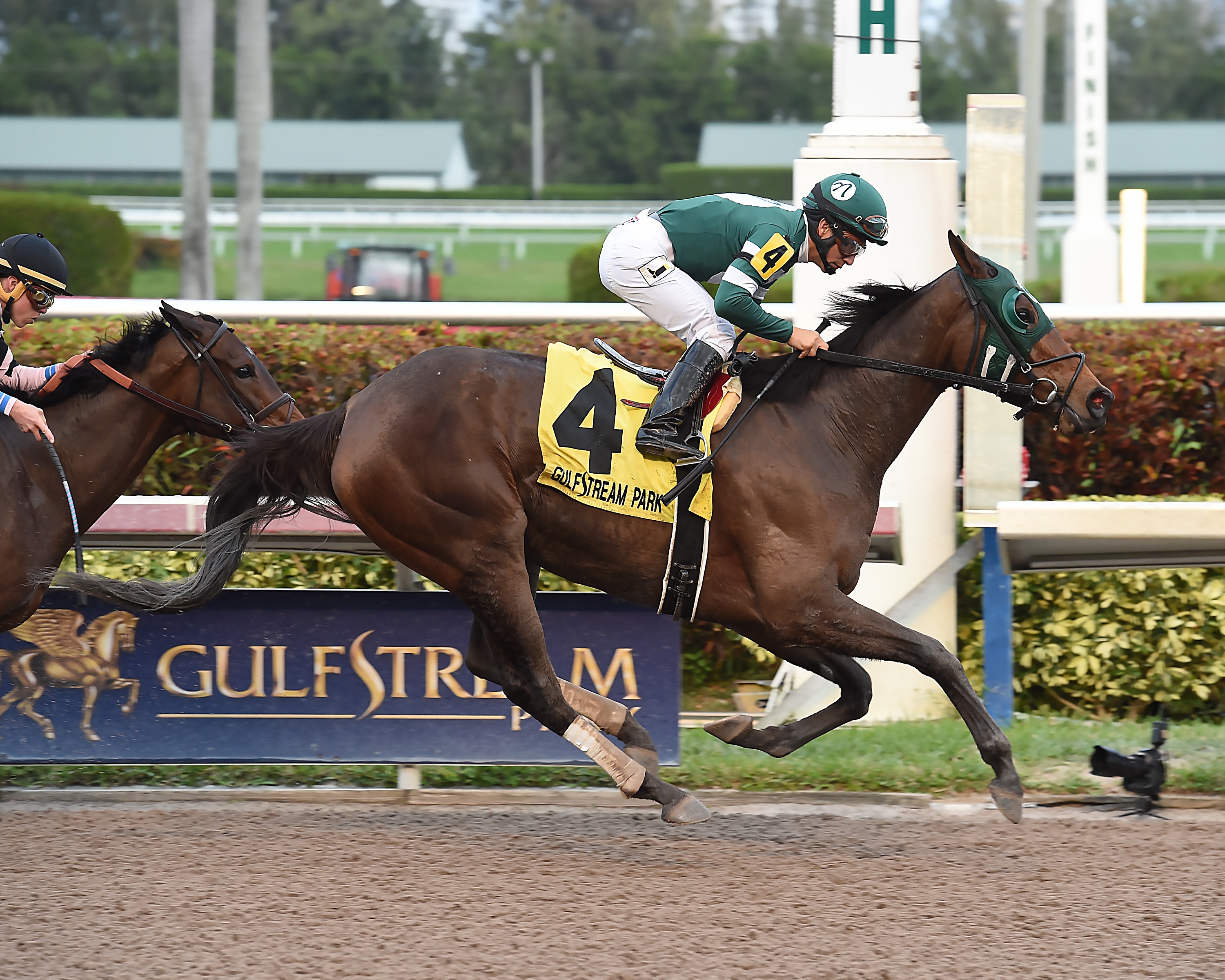 Martini Glass downs Lewis Bay in Royal Delta