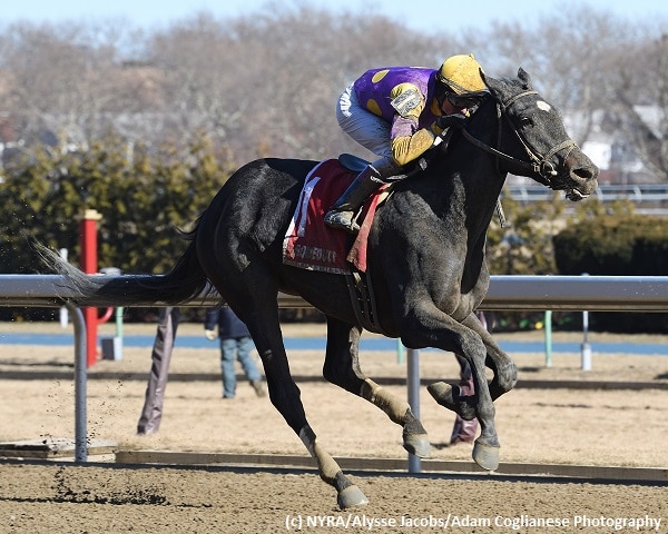 Midnight Disguise tops eight-filly Busher field