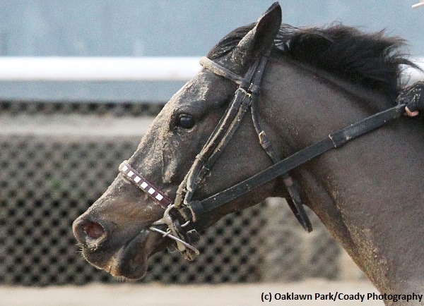 Streamline runs down Terra Promessa for Bayakoa score