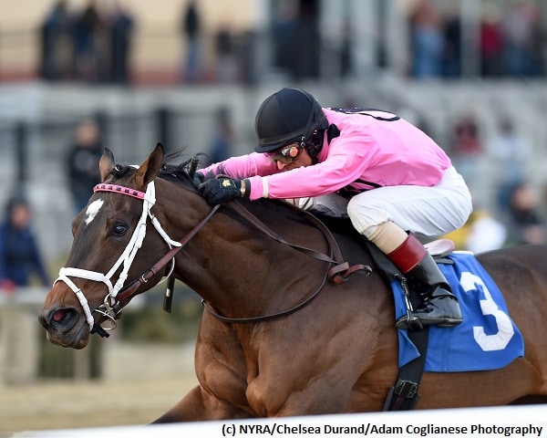 Wonder Gadot faces seven in Rachel Alexandra