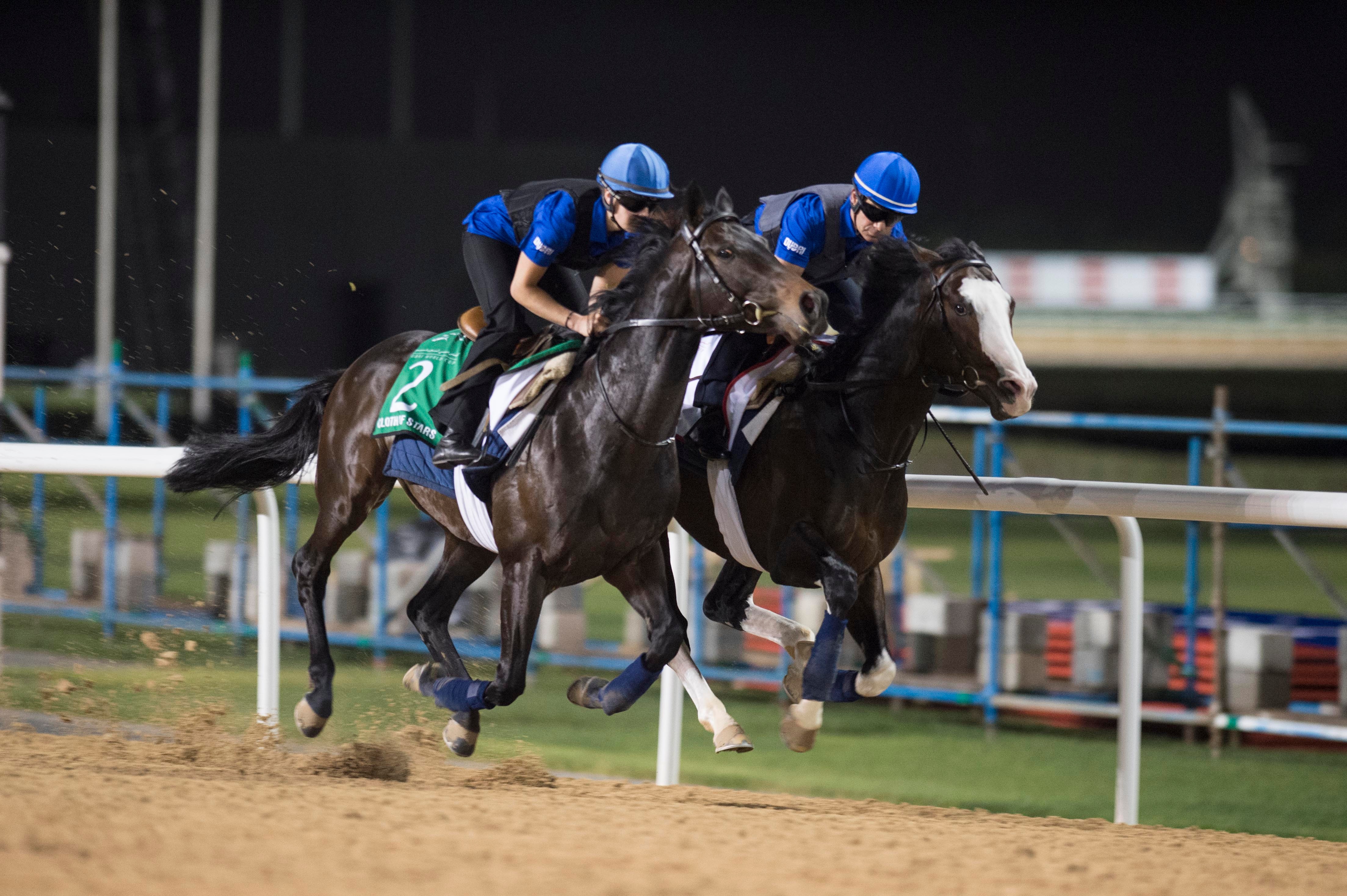 Cloth of Stars heads Team Godolphin versus Japan in Dubai Sheema Classic