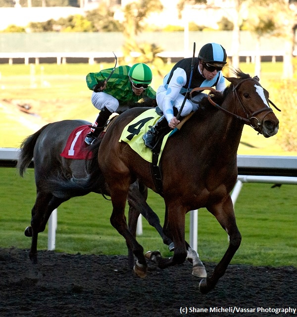 Well-matched field of 11 assembled for Bourbonette Oaks