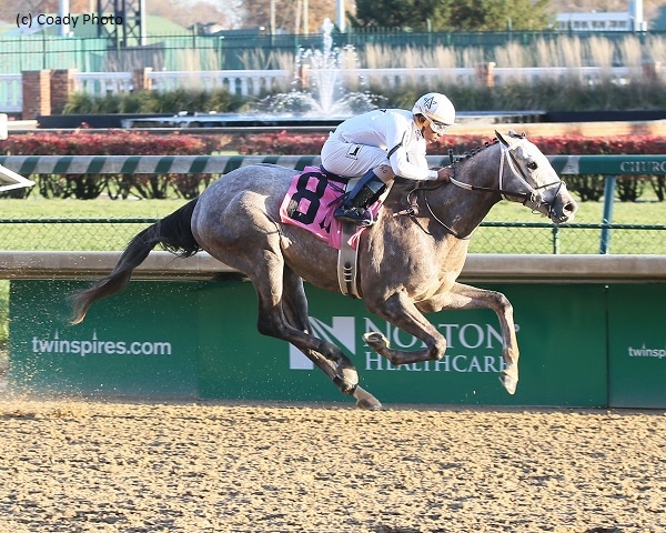 All Out Blitz, New York Central top draws in 12-horse Sunland Derby