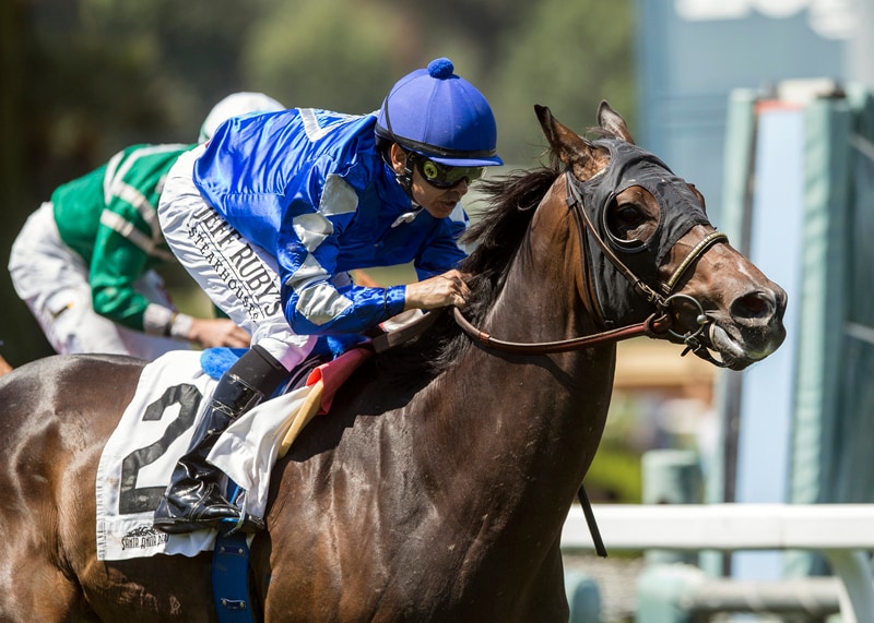 Nessy, full brother to Bullards Alley, scores poignant San Juan Capistrano victory