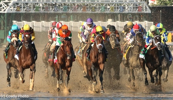 Kentucky Derby Report – Excitement builds for outstanding Derby field