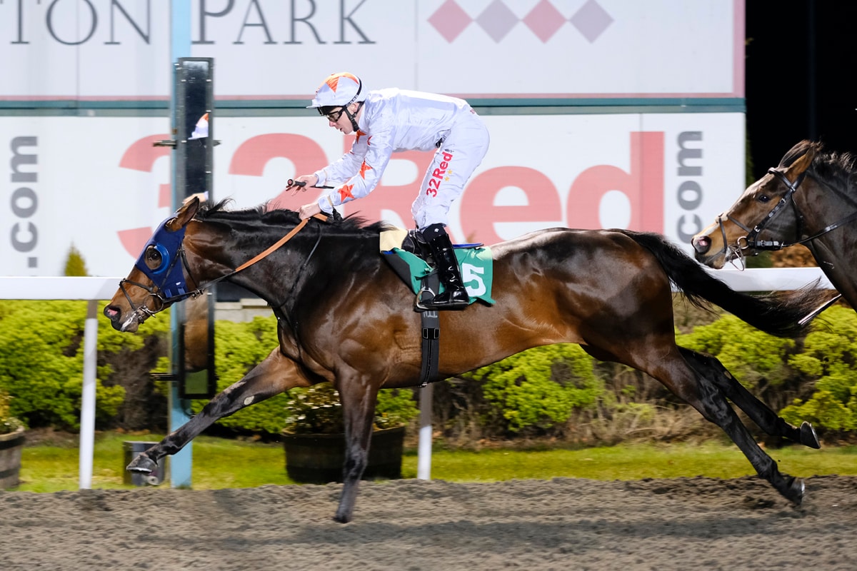 Gronkowski, Blended Citizen breeze ahead of Belmont Stakes