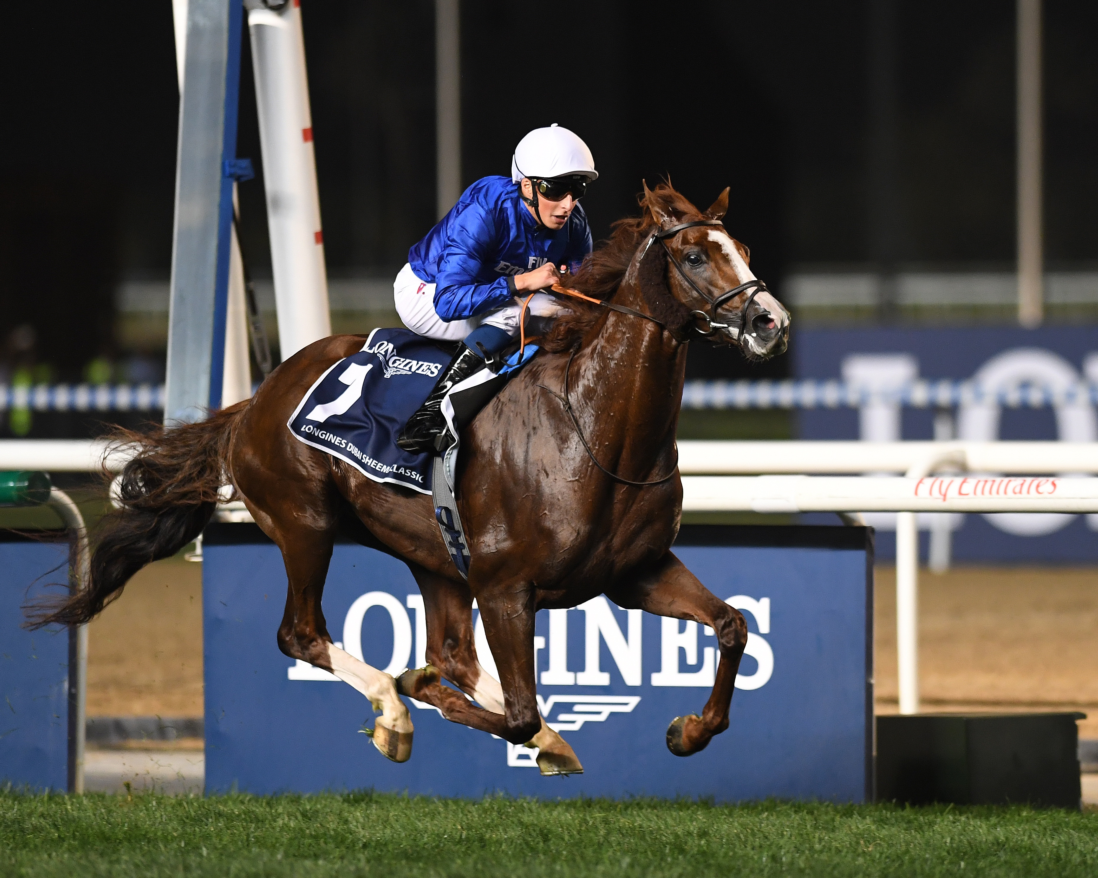 Hawkbill can’t be caught in Dubai Sheema Classic