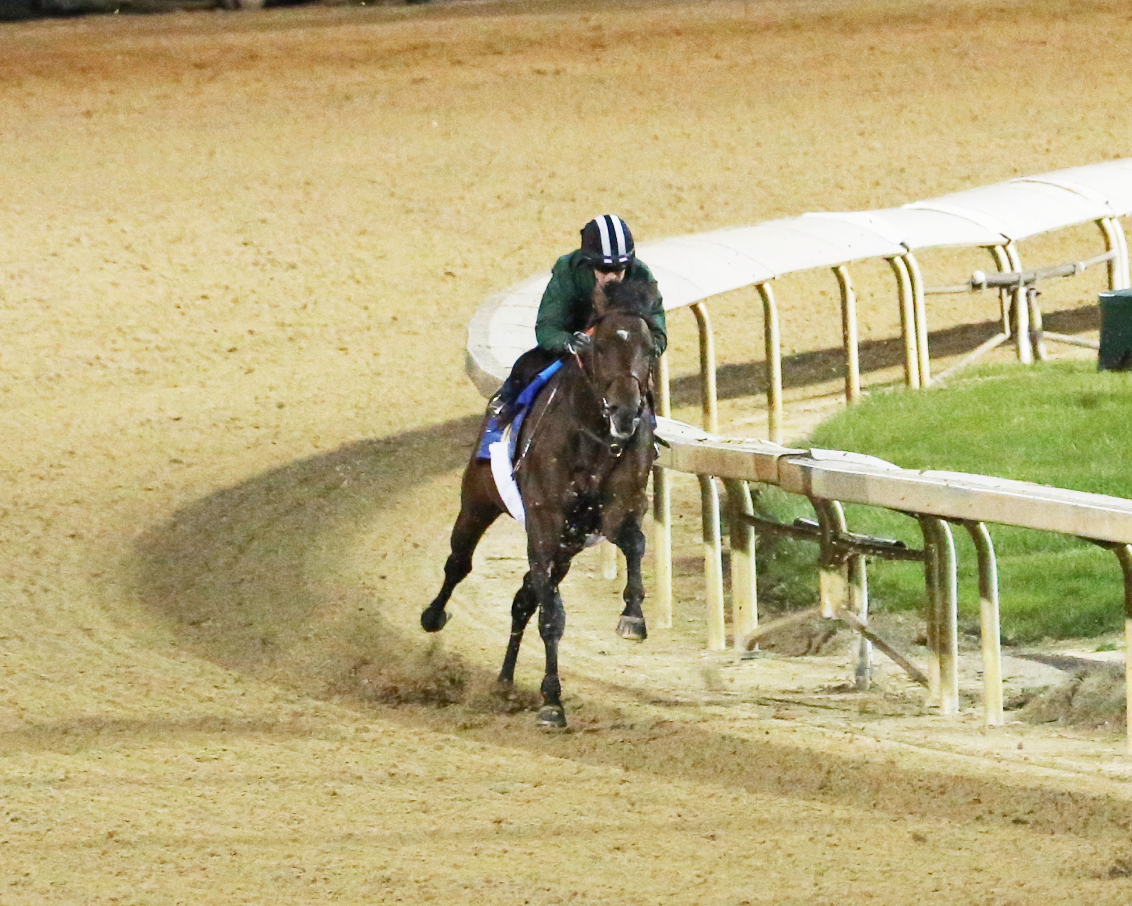 Kentucky Derby works: Lone Sailor steams at Churchill, Enticed pleases at Palm Meadows