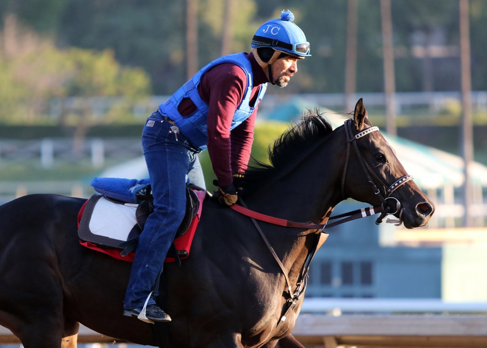 Midnight Bisou, Patrona Margarita gear up for Kentucky Oaks
