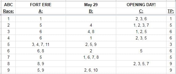 How To Bet Fort Erie 2018 Race Meeting