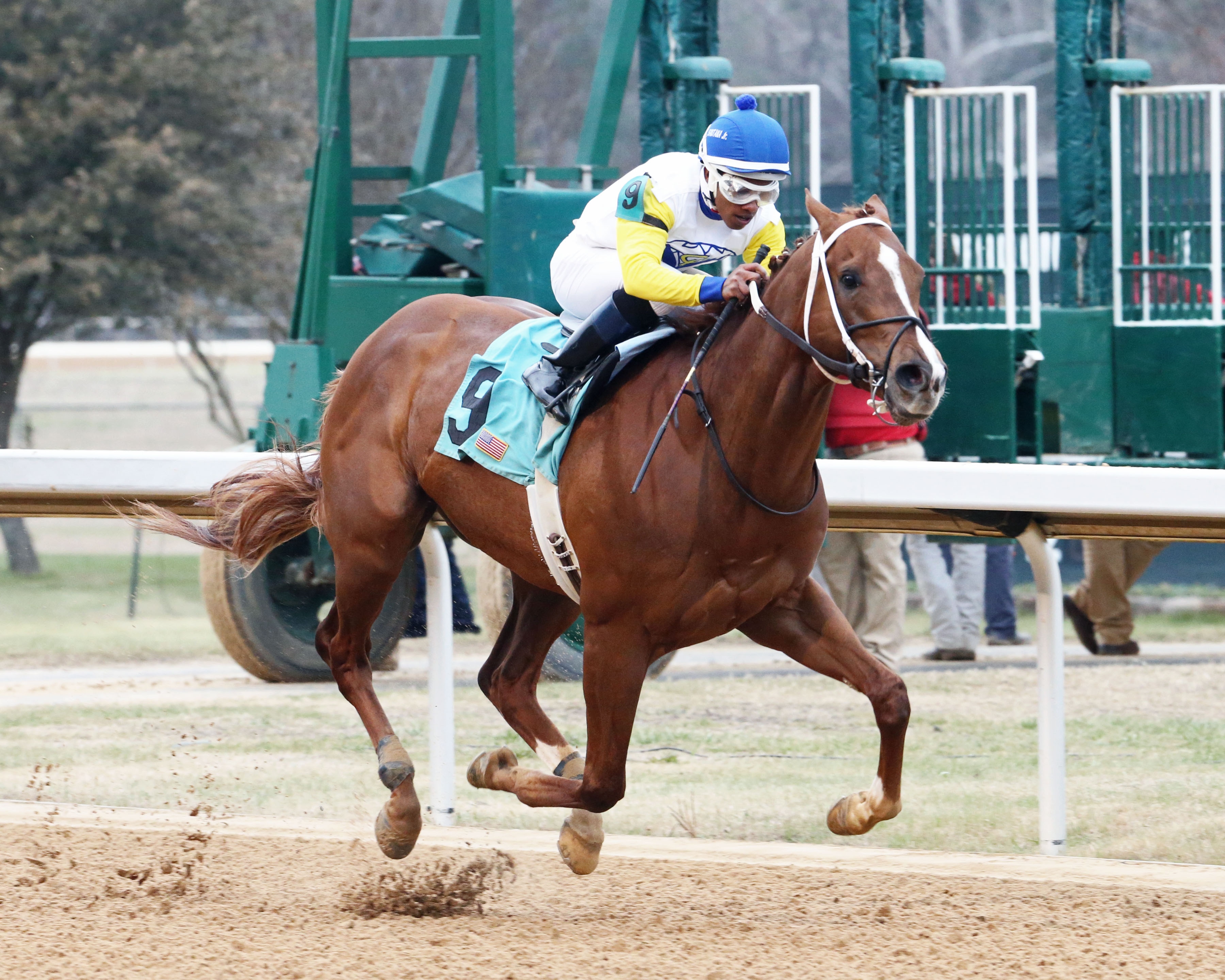 Bee Jersey ready for big time after Steve Sexton Mile romp