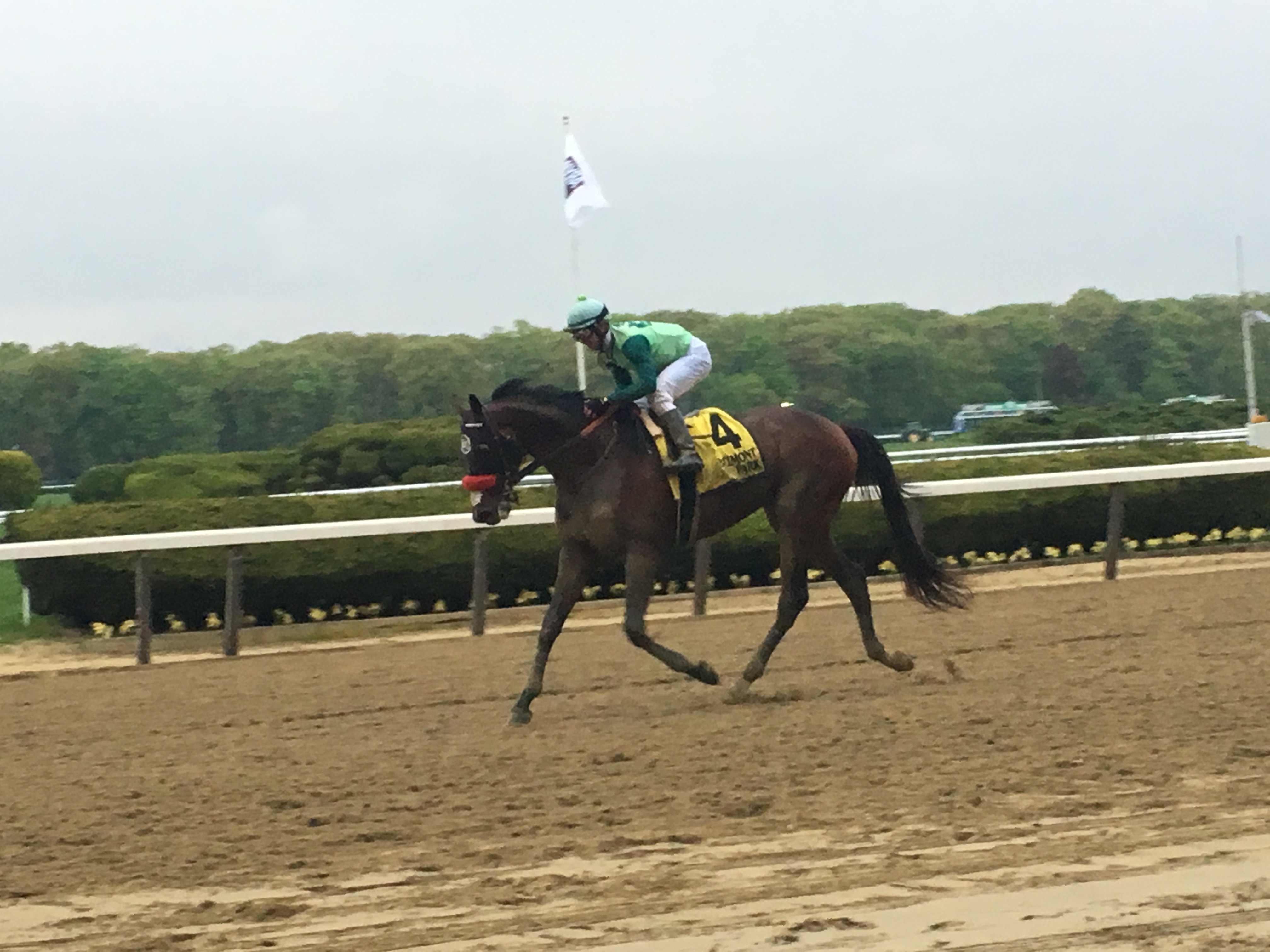 Blended Citizen on to Belmont Stakes after Peter Pan tally