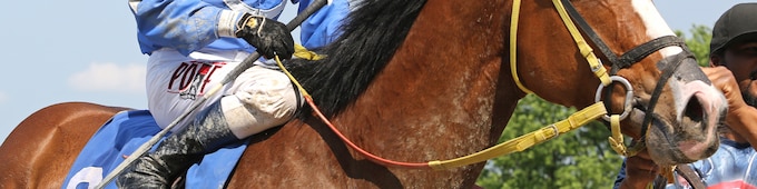 Prado notches 7,000th career win