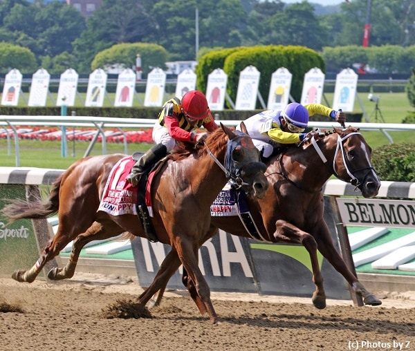 Bee Jersey holds off Mind Your Biscuits to win Met Mile
