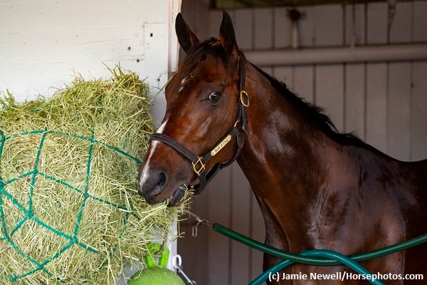 Bolt d’Oro tunes up for Met Mile at Keeneland