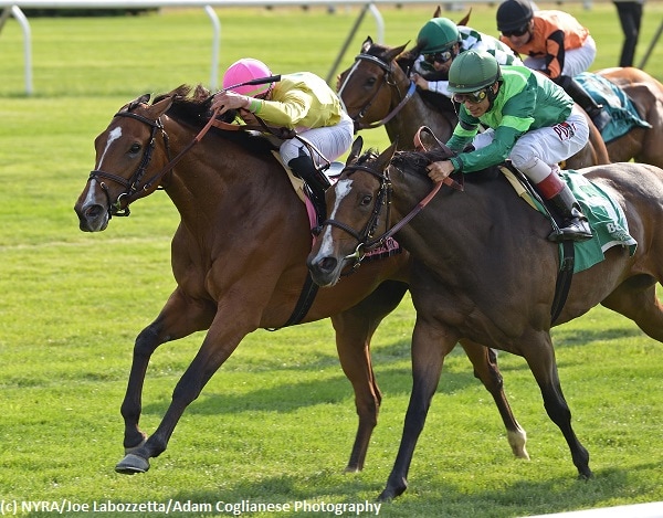 Fourstar Crook turns tables on stablemate to win New York Stakes