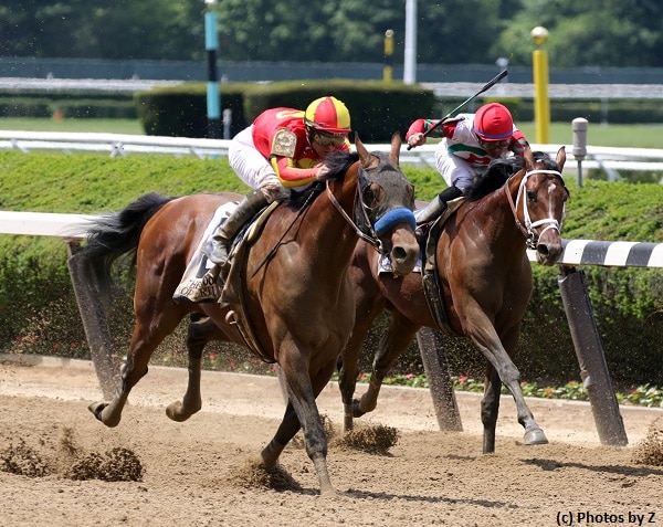 Hoppertunity, Dr. Dorr top Suburban; Mendelssohn returns for Dwyer