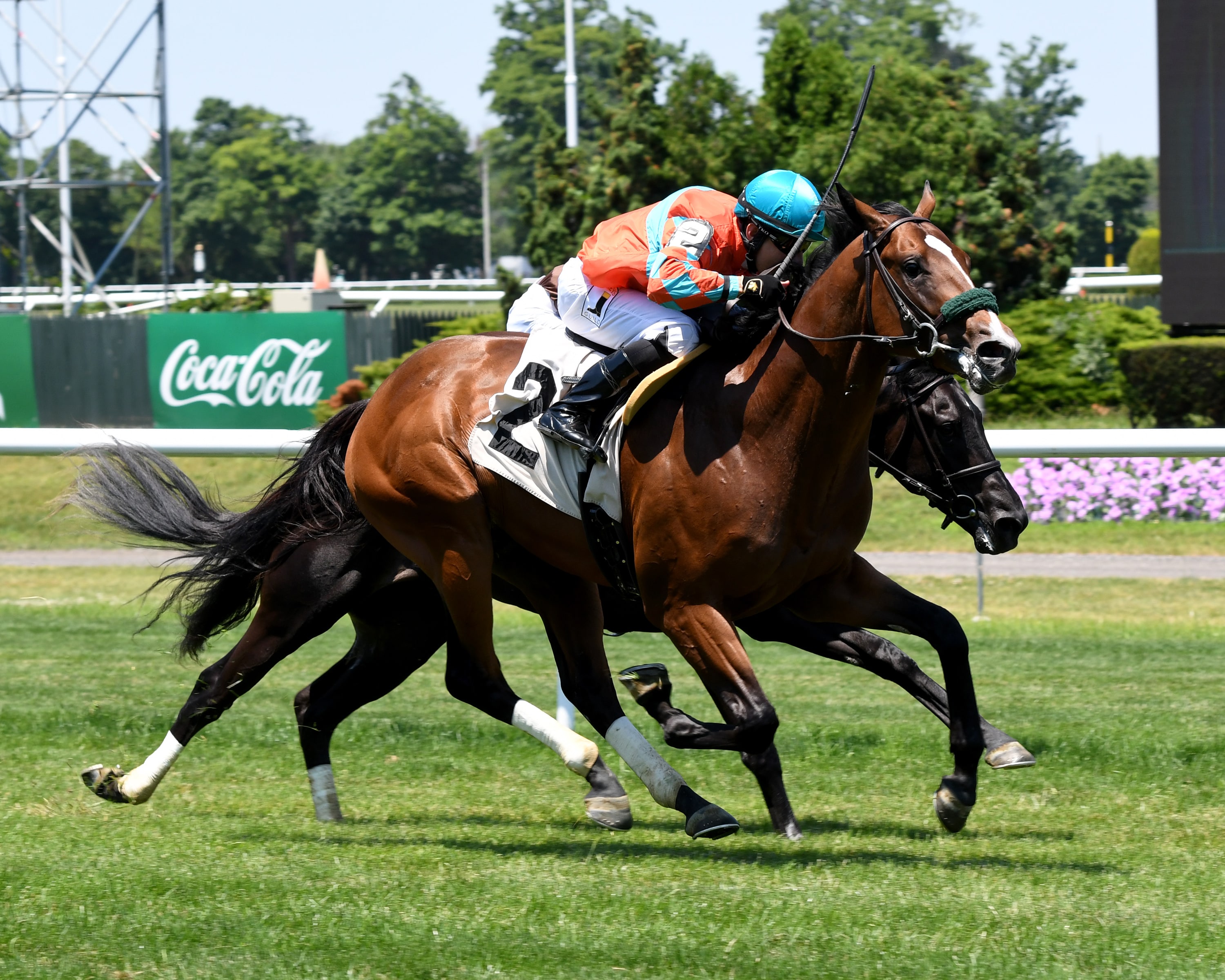 Market Bubble prevails as first winner for WinStar stallion Fed Biz