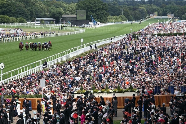 Without Parole, Accidental Agent and Blue Point star on Royal Ascot opener