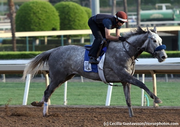 Unique Bella faces five in Beholder Mile
